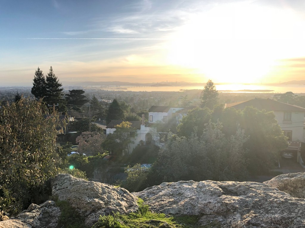 Reflections on Goals and&nbsp;Priorities